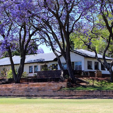 Aerial view of Falcon with prominent Jacarandas